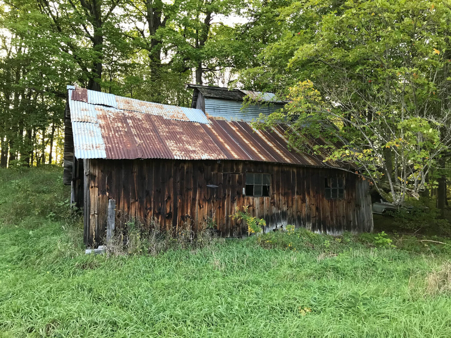 The Old Gemmill Sugar Camp